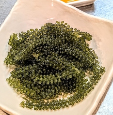 海ぶどう