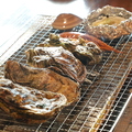 牡蠣小屋 かきくけこのおすすめ料理1