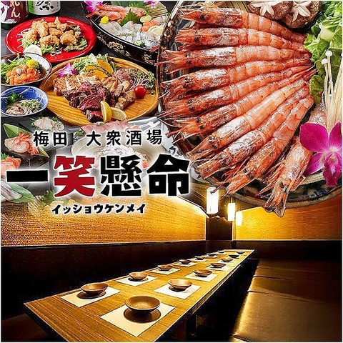 【梅田駅より徒歩5分】割烹出身の料理長が腕を振るう本格和食を楽しめる個室居酒屋