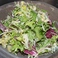 生湯葉と香味野菜のサラダ