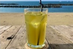 緑茶(アイス/ホット)