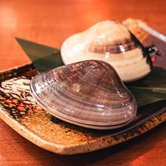 【浜焼き】　はまぐり（大）の写真