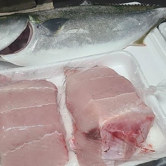 太平洋沿岸のアオザメ