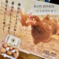 ● 栗山町　酒井農場さんのとうきびたまご　解放鶏舎で飼育した鶏から取れた、臭みのない粘り強い黄身が濃い卵です。