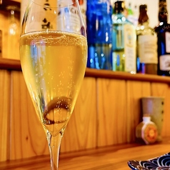 トリノ王子サマの特集写真