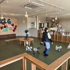 DOG CAFE Bell ドッグカフェ ベルの雰囲気2