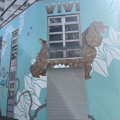 VIVI ヴィヴィの写真