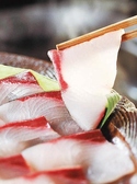 お魚ダイニング 晴れときどき魚 HAREUOのおすすめ料理3