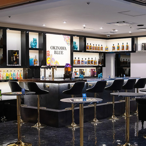 OKINAWA BLUE ILiu[ VX