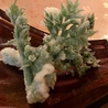 和ダイニング 茉莉のおすすめポイント2