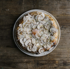 スペシャル・フンギ