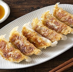 博多名物鉄板餃子