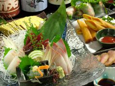 旬彩和酒 撰の特集写真