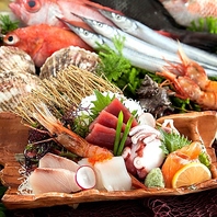 鮮度抜群のお刺身やお寿司が食べ放題！