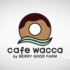 cafewaccaのURL1