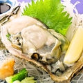 料理メニュー写真 【夏】岩牡蠣　