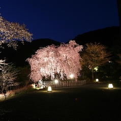 松山閣 松山本店の外観3