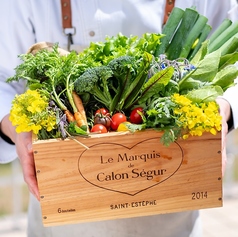 Ｊヴィレッジ　アルパインローズの写真2