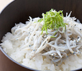 料理メニュー写真&nbsp;しらす丼
