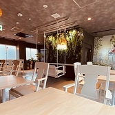 Sun5 cafe サンゴカフェの雰囲気2