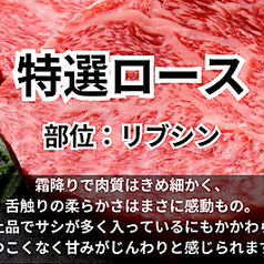 特選ロース/特上ロース/霜降りロース