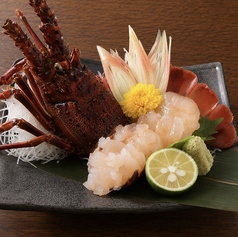 居酒屋 道後 鯛将の特集写真