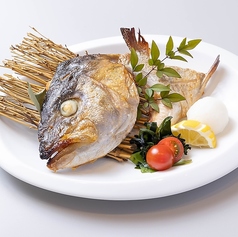 カンパチ頭付き塩焼き