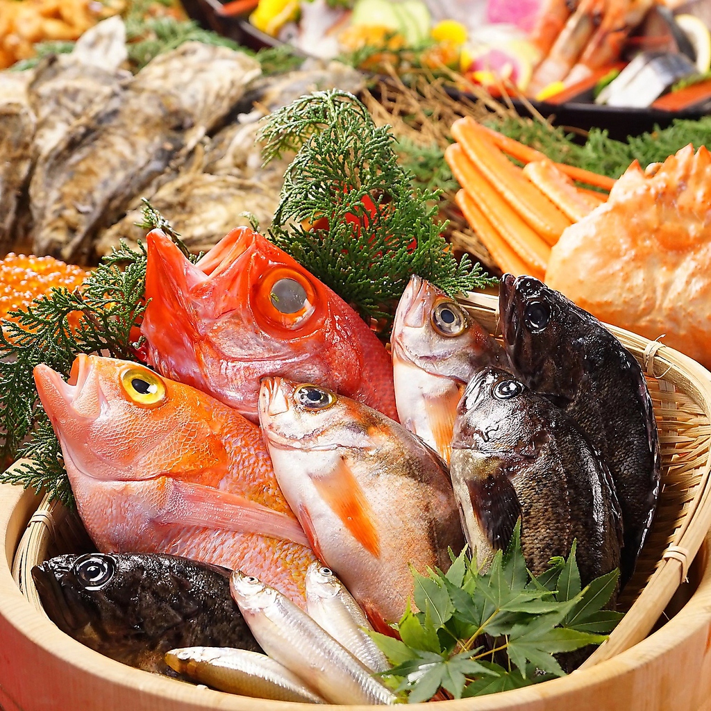 鮮度抜群！産地直送の魚介類！