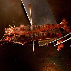 天草の天然車海老