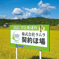 自社契約ほ場からの特別栽培米【減農薬】
