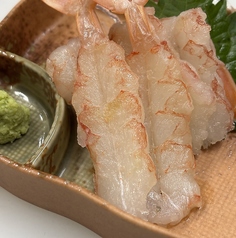 赤海老刺し