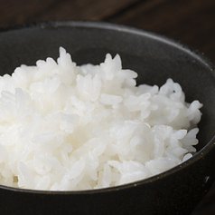 ごはん