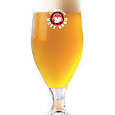 常陸野ネストゆずラガー YUZU LAGER