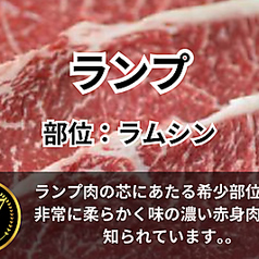 ランプ/上ランプ/大判ロース