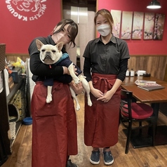 肉ビストロ　KAGURA　甲府昭和店の雰囲気2