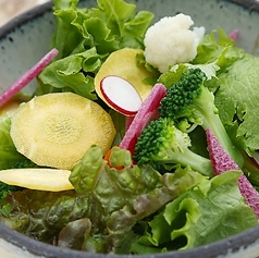 地元野菜のフレッシュ彩りサラダ しいたけドレッシング