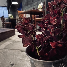 【貸切10名様～】最大14名様迄、着座でお食事をお楽しみいただけます。立食スタイルですと20名様迄ご利用いただけます。貸切ご予約ご希望のお客様はインスタからのDMへご連絡ください。もしくは、ホットペッパーご予約時の備考にご記入くださいませ。