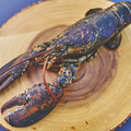 料理メニュー写真&nbsp;ロブスター