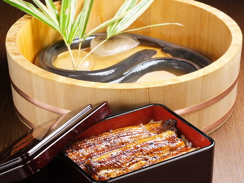 創業80年！創業時から継ぎ足している秘伝のタレを使った、うな重・鰻寿司が人気！！