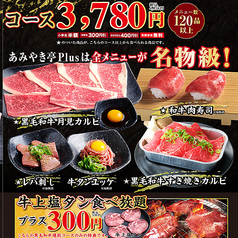 あみやき亭Plus 川越店のコース写真