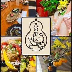 宮崎食酒場八のや