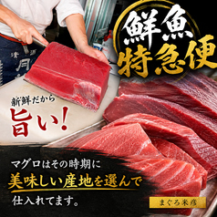 その時期に美味しいマグロを仕入れています