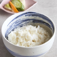 ご飯セット