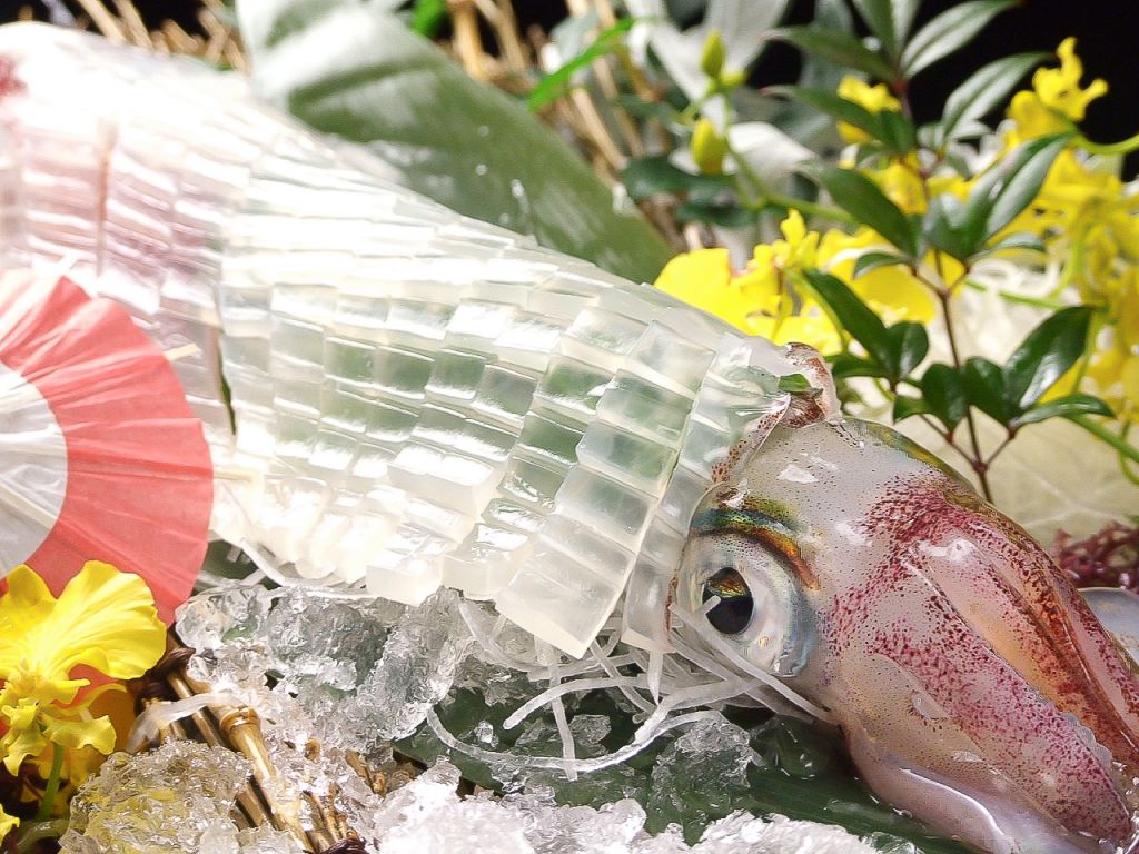 【2名様から団体&宴会】呼子の活イカ姿造り！五島のゴマサバ！もつ鍋！など『九州名物』を食べ尽くす