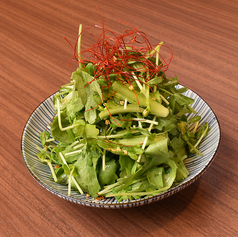 【季節限定】春菊と豆苗のサラダ