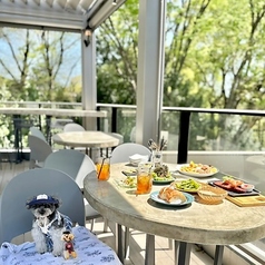 吉祥寺 井の頭テラス HONOO ホノオの雰囲気3