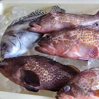 地元の魚介