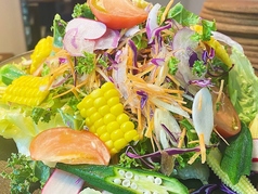 炉端Bistro ソーレマンのコース写真