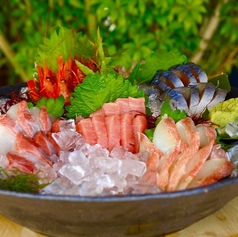 そら豆 名古屋特集写真1