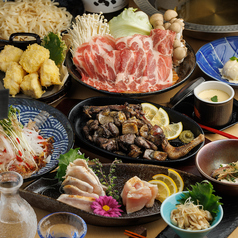 鳥仙人のコース写真